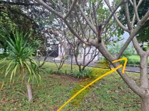 Dijual Tanah Strategis di Kawasan Tanjung Mas Raya - Jakarta Selatan lokasi di Jakarta Selatan, tersedia melalui melalui situs Olx