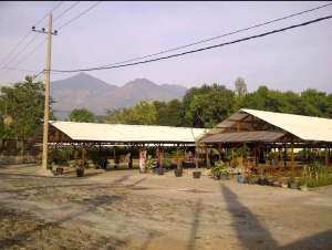 DIJUAL TANAH TAMAN SAFARI NJANTI PAKUKERTO SUKOREJO PASURUAN RON.A225 lokasi di Pasuruan Kab., tersedia melalui melalui situs Olx