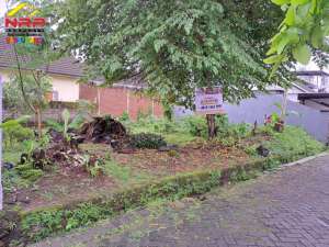 Dijual Tanah termurah di dadapan Banyuwangi lokasi di Banyuwangi  Kab., tersedia melalui melalui situs Olx