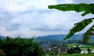 DIJUAL TANAH TRAWAS MOJOKERTO RON.A1282 lokasi di Mojokerto Kab., tersedia melalui melalui situs Olx