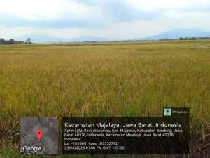 Dijual tanah untuk gudang di ranca kusumba majalaya 500 ribu permeter lokasi di Bandung Kab., tersedia melalui melalui situs Olx