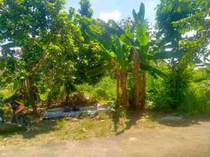 Dijual Tanah Untuk Kost di Kampung Baru Unila lokasi di Bandar Lampung Kota, tersedia melalui melalui situs Olx