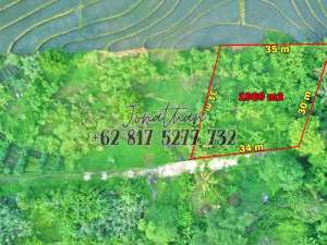 Dijual Tanah View Sawah Zona Wisata di Pantai Nyanyi Tabanan Bali - LSADT lokasi di Kab. Badung, tersedia melalui melalui situs Olx