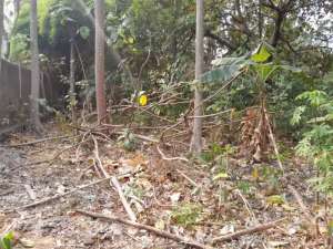 Dijual Tanah Wibawa Mukti Jatiasih Bekasi. Lokasi Pinggir Jalan Raya. lokasi di Bekasi Kota, tersedia melalui melalui situs Olx