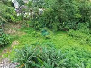 Dijual Tanah Zona Industri Di Jambe, Hanya 500m Ke Perencanaan Tol Pasir Barat lokasi di Tangerang Kab., tersedia melalui melalui situs Olx