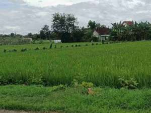 Dijual Tanah Zona Industri di Kabupaten Madiun lokasi di Madiun Kab., tersedia melalui melalui situs Olx