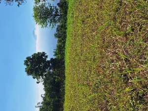 DIJUAL TNH DI PANDERMAN ATAS BATU,VIEW SNGT BGSDI 800MDPL BATU lokasi di Batu Kota, tersedia melalui melalui situs Olx