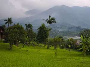 DIJUAL VILLA KAYU HALAMAN LUAS VIEW GUNUNG DI CIGOMBONG BOGOR lokasi di Bogor Kab., tersedia melalui melalui situs Olx