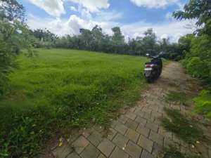 dikontrakkan tanah 10 are harga 10 juta are th kawasan GWK ungasan Kuta Selatan Badung Bali lokasi di Kab. Badung, tersedia melalui melalui situs Olx