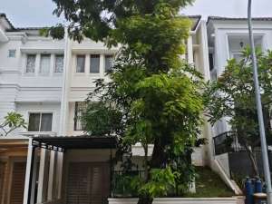 Disewa Rumah PIK Garden House Furnished Uk 200m Jakut lokasi di Jakarta Utara, tersedia melalui melalui situs Olx