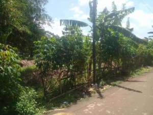 disewa tanah murah lokasi di Bekasi Kota, tersedia melalui melalui situs Olx