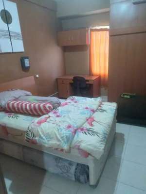Disewakan Apartemen Pinewood Type studio lokasi di Sumedang Kab., tersedia melalui melalui situs Olx