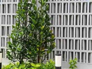 Disewakan Dijual Rumah 3 lt, Summarecon Crown Gading.Cluster Viola Residence, Premium Attic 2. Bekasi Utara. lokasi di Bekasi Kota, tersedia melalui melalui situs Olx