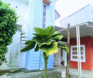 Disewakan paviliun per tahun lokasi di Samarinda Kota, tersedia melalui melalui situs Olx