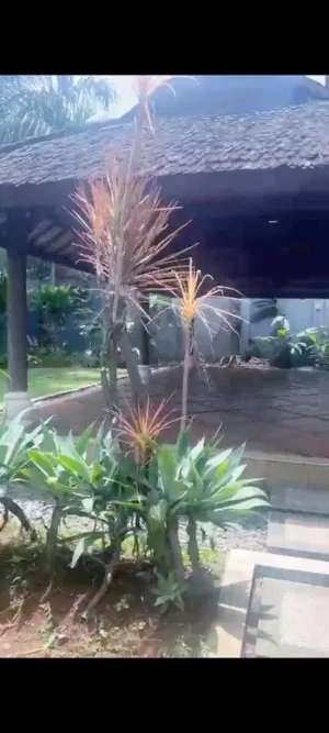 Disewakan Rumah Besar di Cilandak lokasi di Jakarta Selatan, tersedia melalui melalui situs Olx