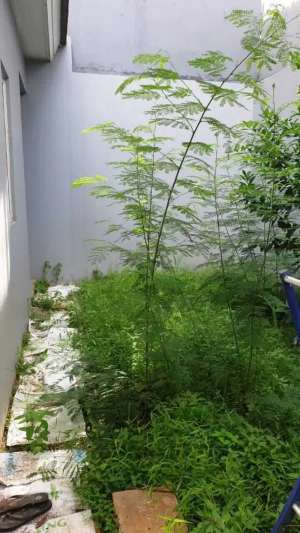 Disewakan RumahCluster Missisipi 2Lt JGC Jakarta Timur lokasi di Jakarta Timur, tersedia melalui melalui situs Olx