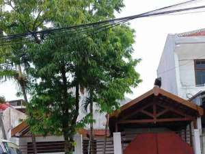 disewakan rumah darmo permai selatan lokasi di Surabaya Kota, tersedia melalui melalui situs Olx