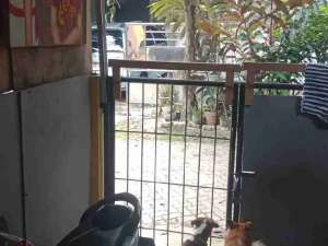 disewakan tahunan rumah dasana indah blok BA 5 no 8 akses dekat jalan menuju gerbang utama lokasi di Tangerang Kab., tersedia melalui melalui situs Olx