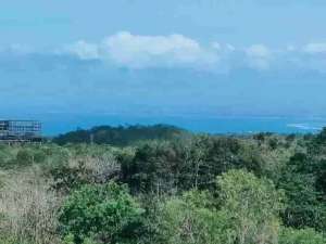 disewakan tanah 20 are sd 1 hektar IDR 25 juta are tahun dipecatu Badung Bali lokasi di Kab. Badung, tersedia melalui melalui situs Olx