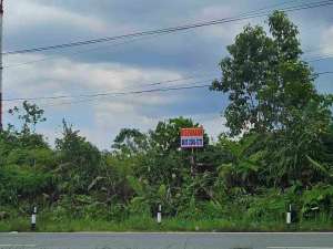 Disewakan Tanah Kariangau KM13 lokasi di Balikpapan Kota, tersedia melalui melalui situs Olx
