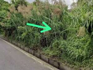 Disewakan Tanah Komersial PremiumSunset Road, Seminyak lokasi di Kab. Badung, tersedia melalui melalui situs Olx