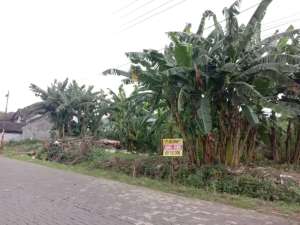 Disewakan Tanah Luas Lokasi Komplek Puri Anjasmoro Semarang lokasi di Semarang Kota, tersedia melalui melalui situs Olx