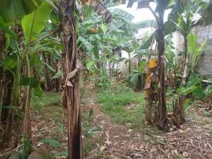 Disewakan Tanah Luas Pinggir Jalan Raya R3 Bogor lokasi di Bogor Kota, tersedia melalui melalui situs Olx