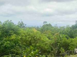 disewakan tanah ocean view Kawasan Melasti beach Ungasan Kuta Selatan Badung Bali lokasi di Kab. Badung, tersedia melalui melalui situs Olx