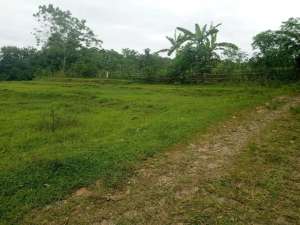 DJUAL TANAH BEKAS SAWAH, MASUK MOBIL LT6.767M SHM lokasi di Purwakarta Kab., tersedia melalui melalui situs Olx