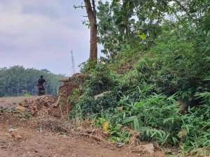 Ds. Dalisodo - Malang lokasi di Malang Kota, tersedia melalui melalui situs Olx