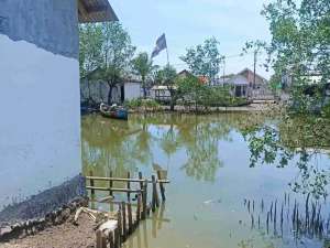 Empang Muara Gembong Bekasi lokasi di Bekasi Kab., tersedia melalui melalui situs Olx