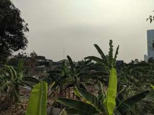 FOR RENT Tanah di Kuningan Area lokasi di Jakarta Selatan, tersedia melalui melalui situs Olx