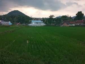 FOR SALE Kavling Strategis di Mainroad Soreang Ciwidey lokasi di Bandung Kab., tersedia melalui melalui situs Olx