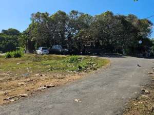 FOR SALE LAND ONLY 100 mtr TO THE BEACH IN SABA lokasi di Gianyar Kab., tersedia melalui melalui situs Olx