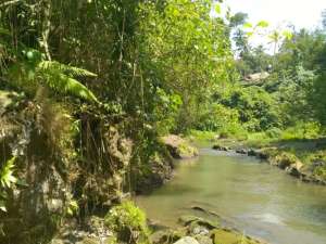 Freehold - 1.500 sqm Riverfront land for sale in south Ubud lokasi di Gianyar Kab., tersedia melalui melalui situs Olx