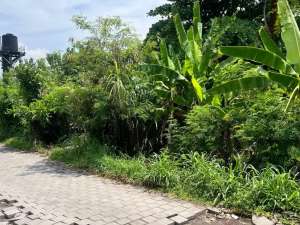 Freehold - Prime Land for Sale in Berawa, Canggu, Bali - Ideal for Villas or Investment lokasi di Kediri Kota, tersedia melalui melalui situs Olx