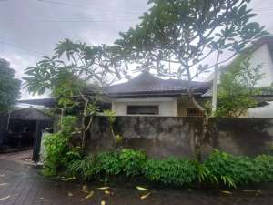 Freehold - Rare Land Plot 320 sqm for Sale in Canggu, Bali lokasi di Kab. Badung, tersedia melalui melalui situs Olx