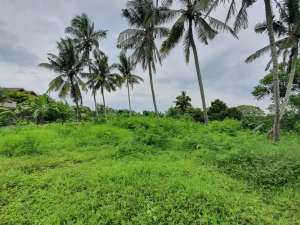 Freehold - Rare oppotunity exclusive land with rice field views and riverside in Green Lot, Cemagi, Bali lokasi di Kab. Badung, tersedia melalui melalui situs Olx