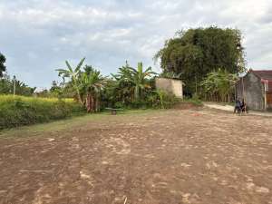 Gentan Sleman Tanah Kavling Premium Siap Bangun lokasi di Sleman Kab., tersedia melalui melalui situs Olx