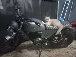 Jual bekas GL100 thn 83 custom japstel scrambel,lokasi di Depok Kota