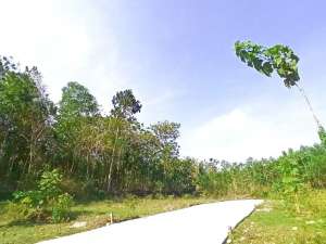 Gotakan Kulon Progo, Tanah Yogyakarta Dekat Bandara YIA lokasi di Kulon Progo Kab., tersedia melalui melalui situs Olx