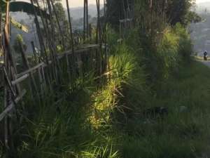 Gunung Putri, Lembang. Tanah Kebun Luas di Bandung lokasi di Bandung Barat Kab., tersedia melalui melalui situs Olx