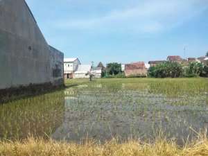 Harga turun - Tanah Premium Jl Tombro Malang lokasi di Malang Kota, tersedia melalui melalui situs Olx