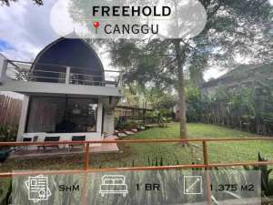 High-Value Investment Land in PererenanGreen Belt View, Freehold lokasi di Kab. Badung, tersedia melalui melalui situs Olx