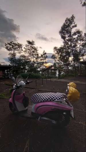 Jual bekas Honda Scoopy Gen 1 2011 Asli Pink,lokasi di Klaten Kab.