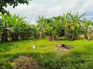 Hot Deal Tanah Lokasi Premium di Jl Bumbak Umalas Kerobokan lokasi di Kab. Badung, tersedia melalui melalui situs Olx