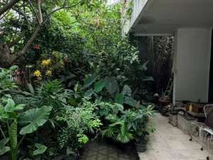 HOT SALE RUMAH DI GANDARIA JAKSEL DIBAWAH NJOP lokasi di Jakarta Selatan, tersedia melalui melalui situs Olx