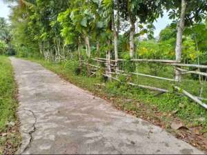 INVESTASI TANAH 2623 TERMURAH DI BONDOWOSO MERTOYUDAN MAGELANG lokasi di Magelang Kab., tersedia melalui melalui situs Olx