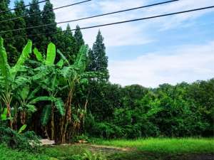 Jangan Lewatkan Tanah Strategis Setiabudi lokasi di Bandung Kab., tersedia melalui melalui situs Olx