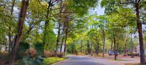 Jarang Ada, Dijual Kavling De Maja, De Park, BSD City lokasi di Tangerang Kab., tersedia melalui melalui situs Olx